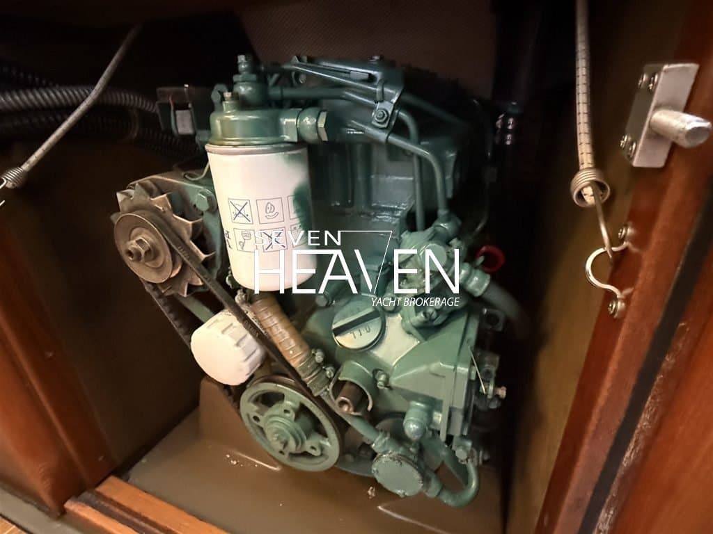 Peter Pan 30