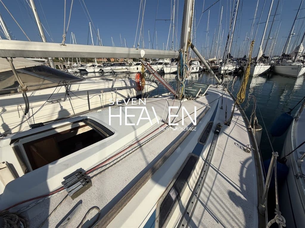 Peter Pan 7